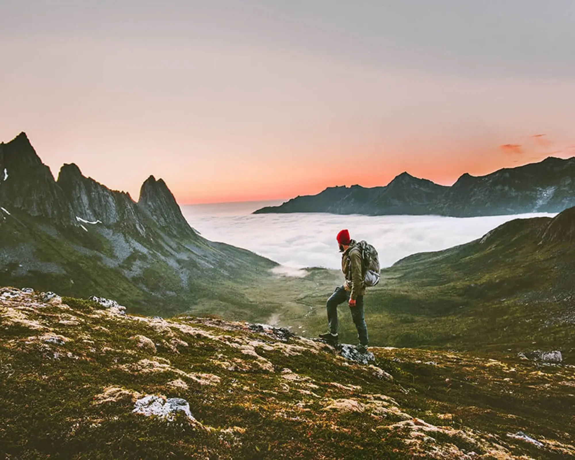 Travel Tour Operator Case Study