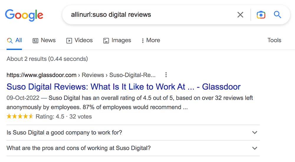google allinurl operator