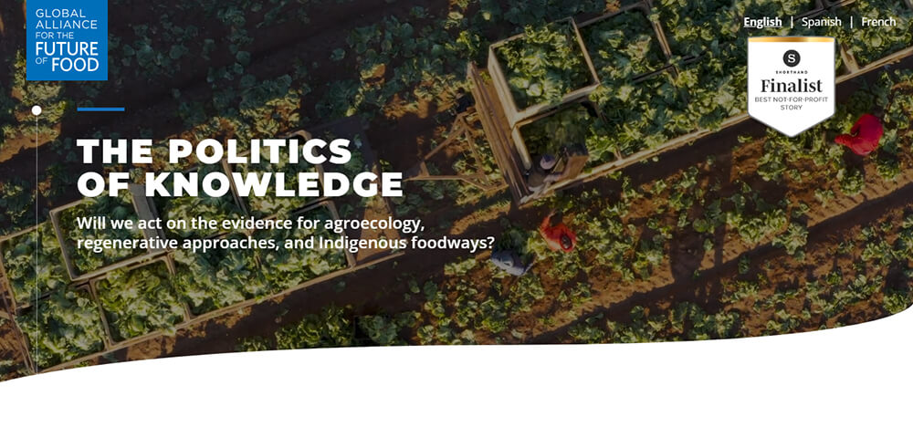 Craft a Compelling Title of the White Paper