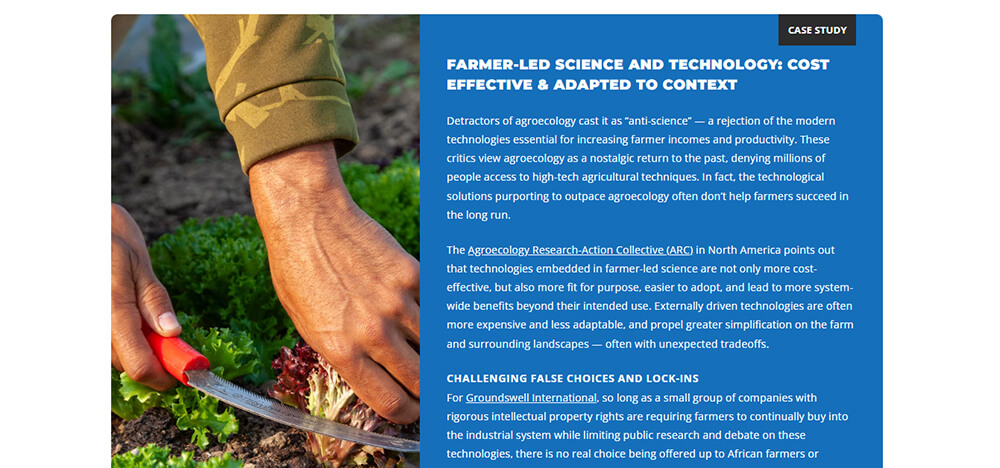 Offer Insights From Case Studies and Real-World Applications in Your White Paper