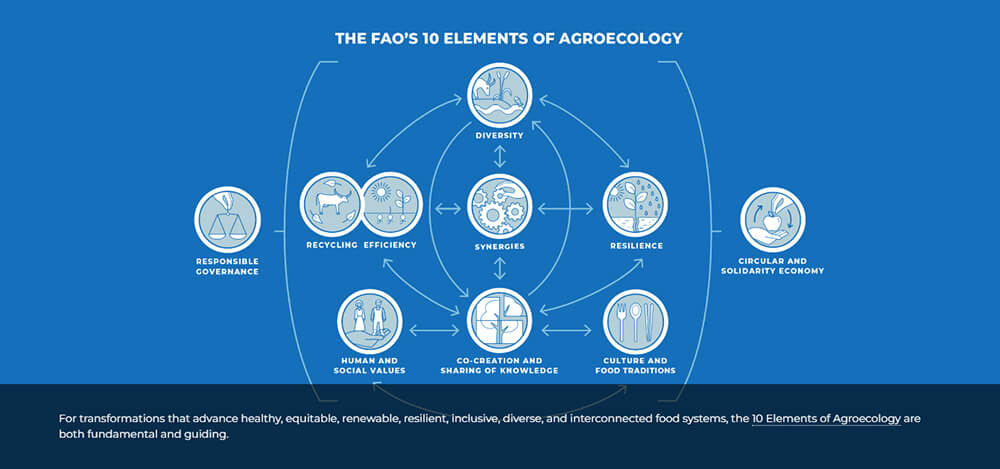 Utilise Interactive Elements And Multimedia in Your White Paper