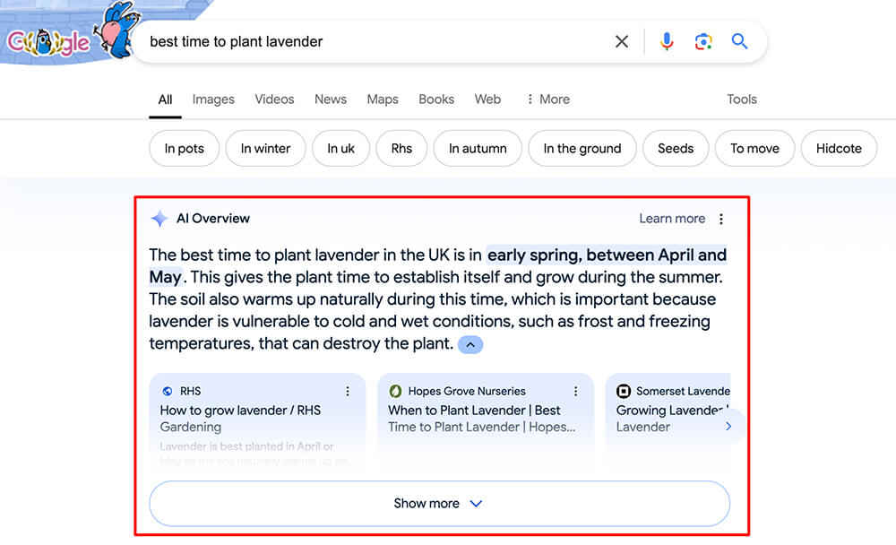 Google AI-generated answer