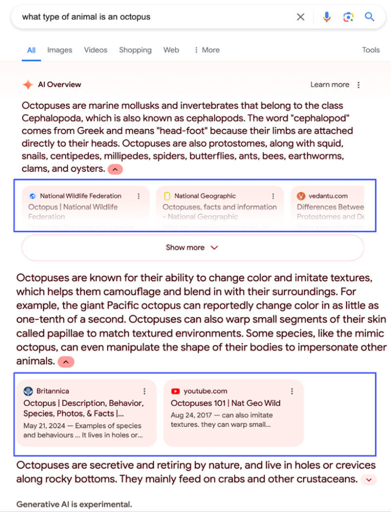 Google AI overview links