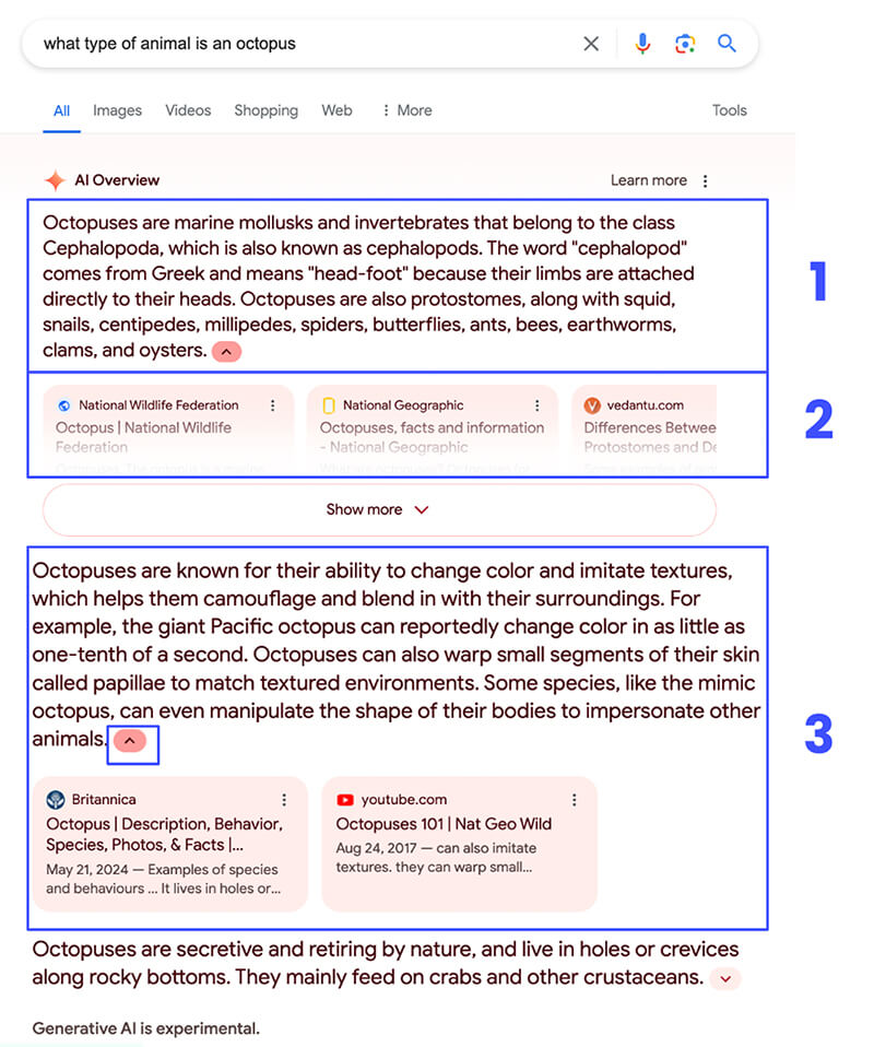 Three Components of Google's AI Overviews