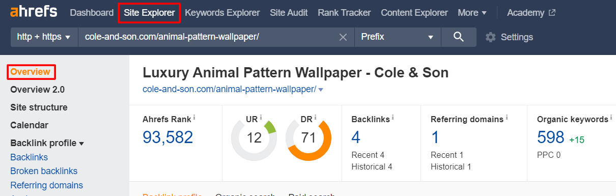 enter domain or URL in site explorer