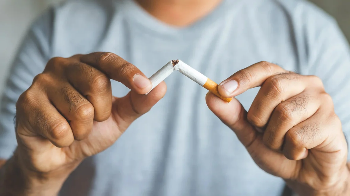 eCommerce SEO Case Study Featured Image