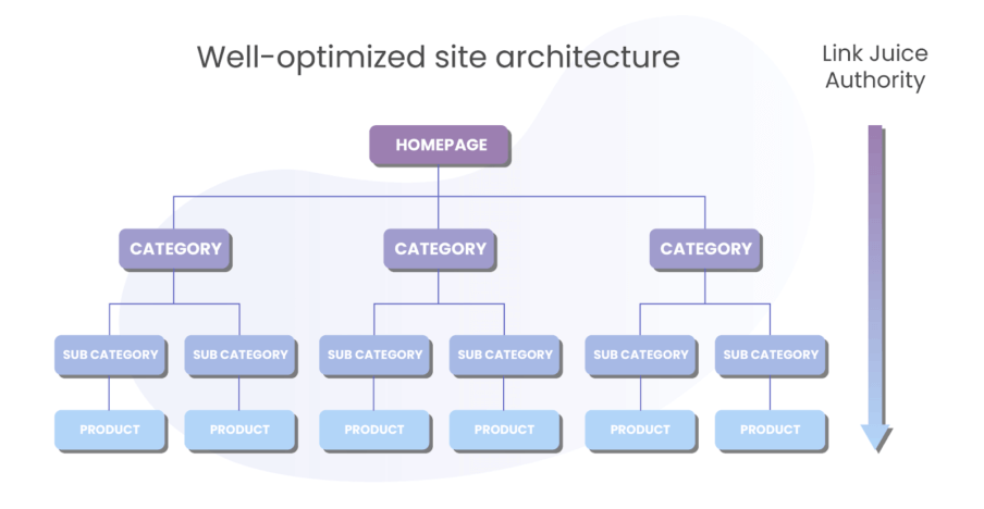 site architecture